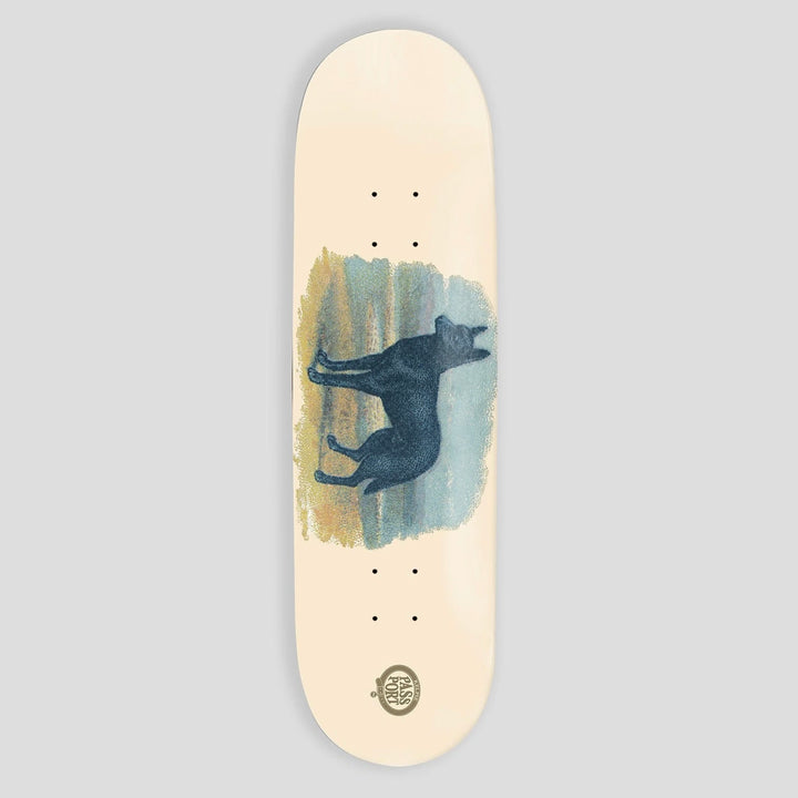 PassPort Hybrid Vigour Deck Series