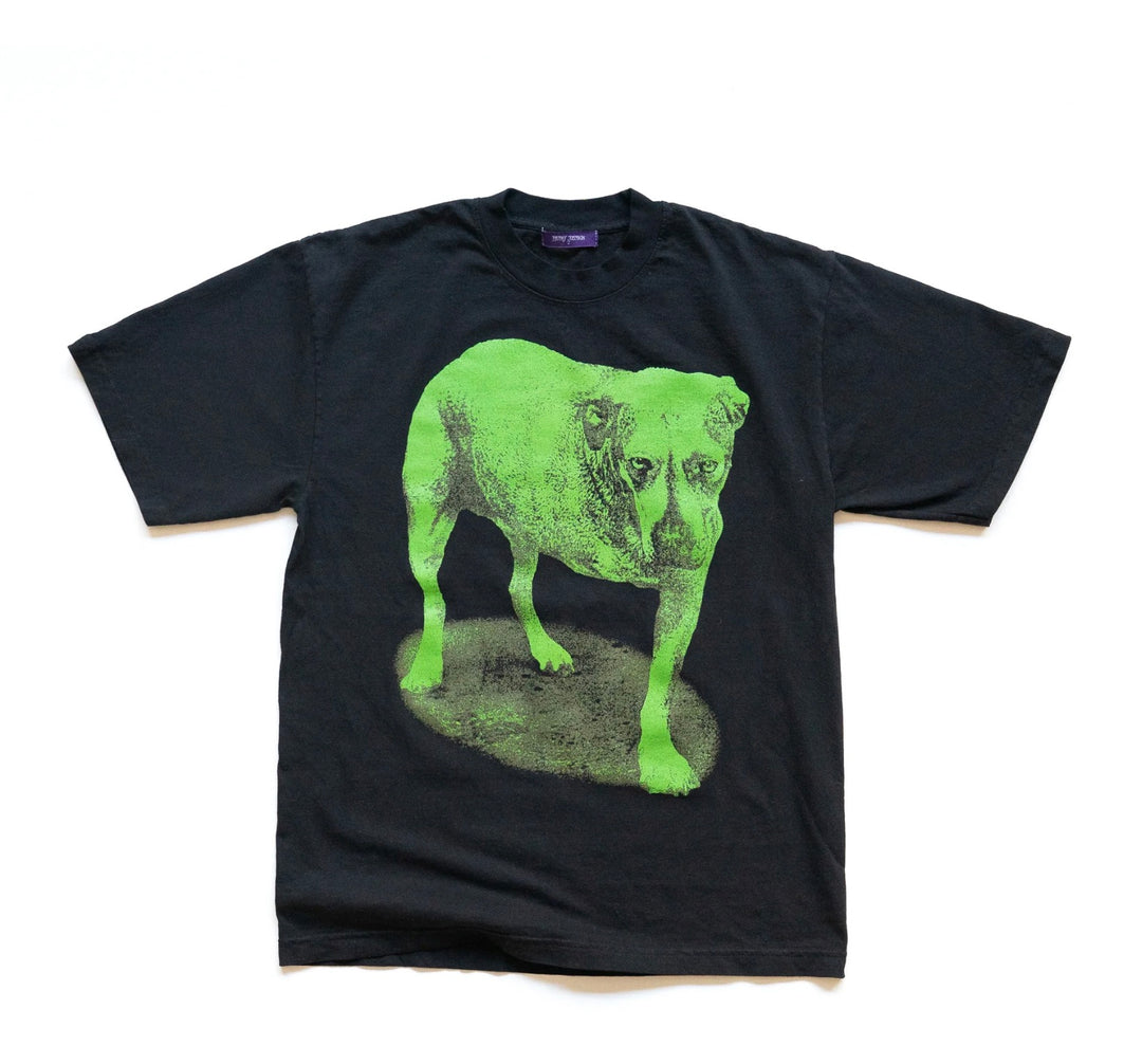Henry Johnson Sunshine Tee