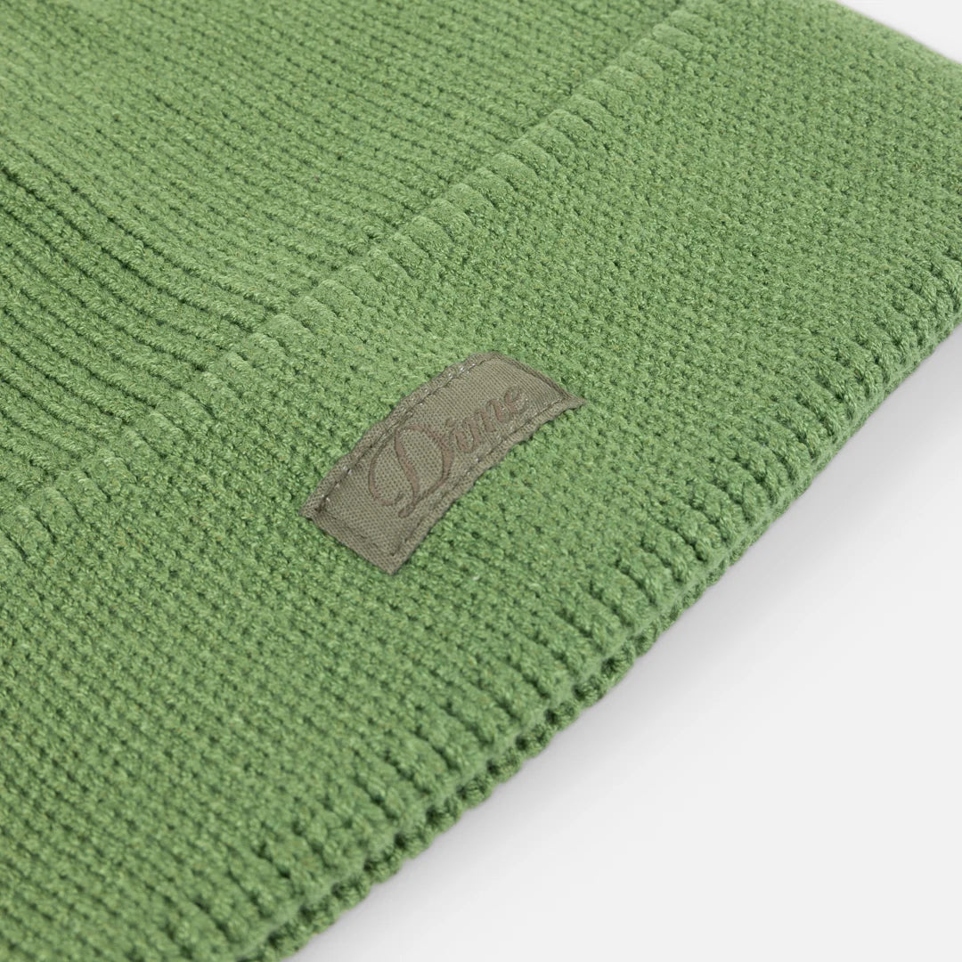 Dime Cursive Rib Beanie Green