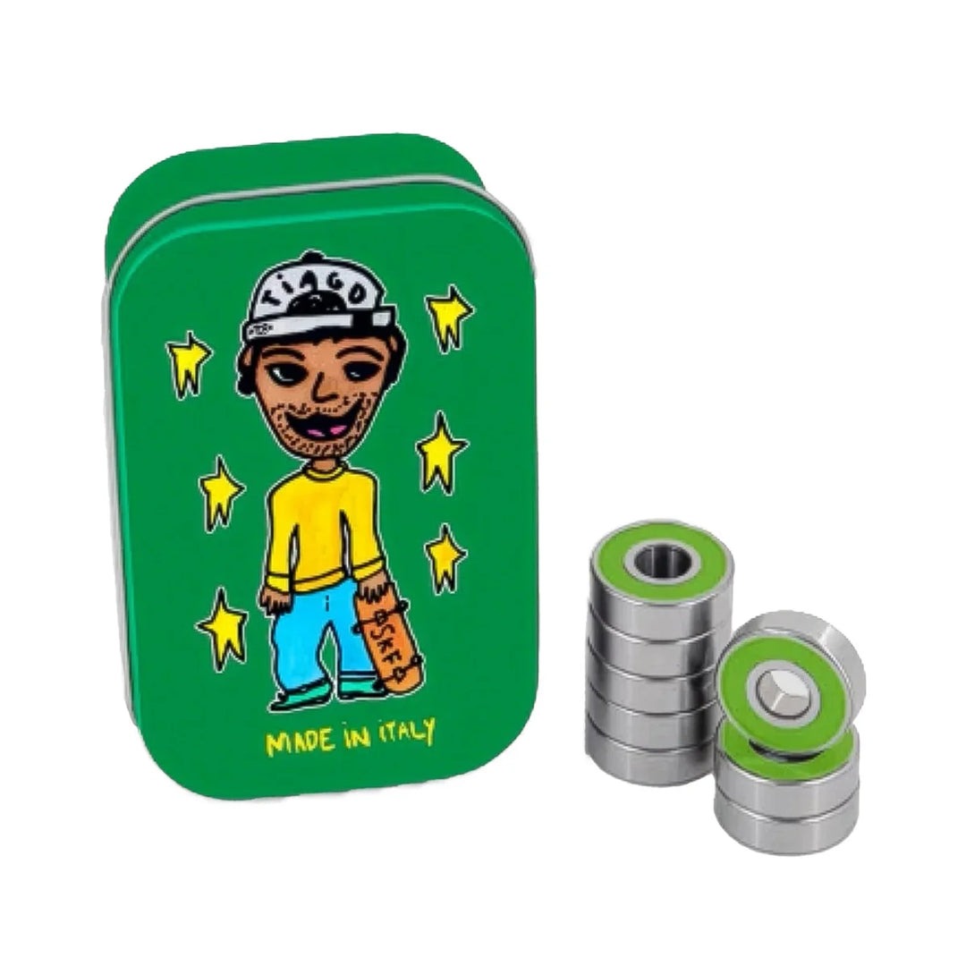 SKF Bearings Tiago Lemos